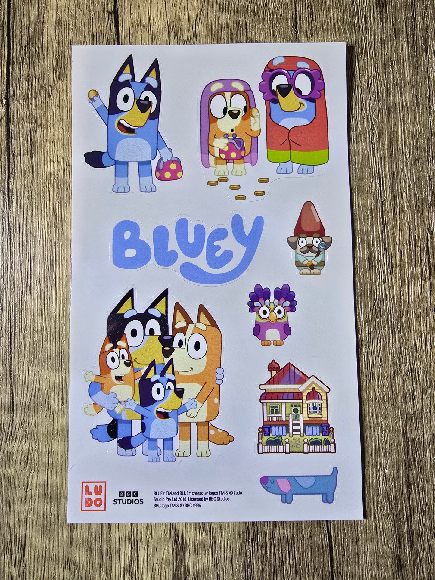 Bluey Dollarbucks 3-coin set