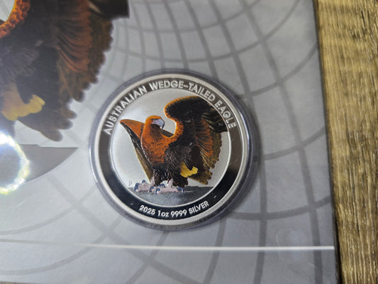 Wedge Tailed Eagle Coloured 1oz 2025