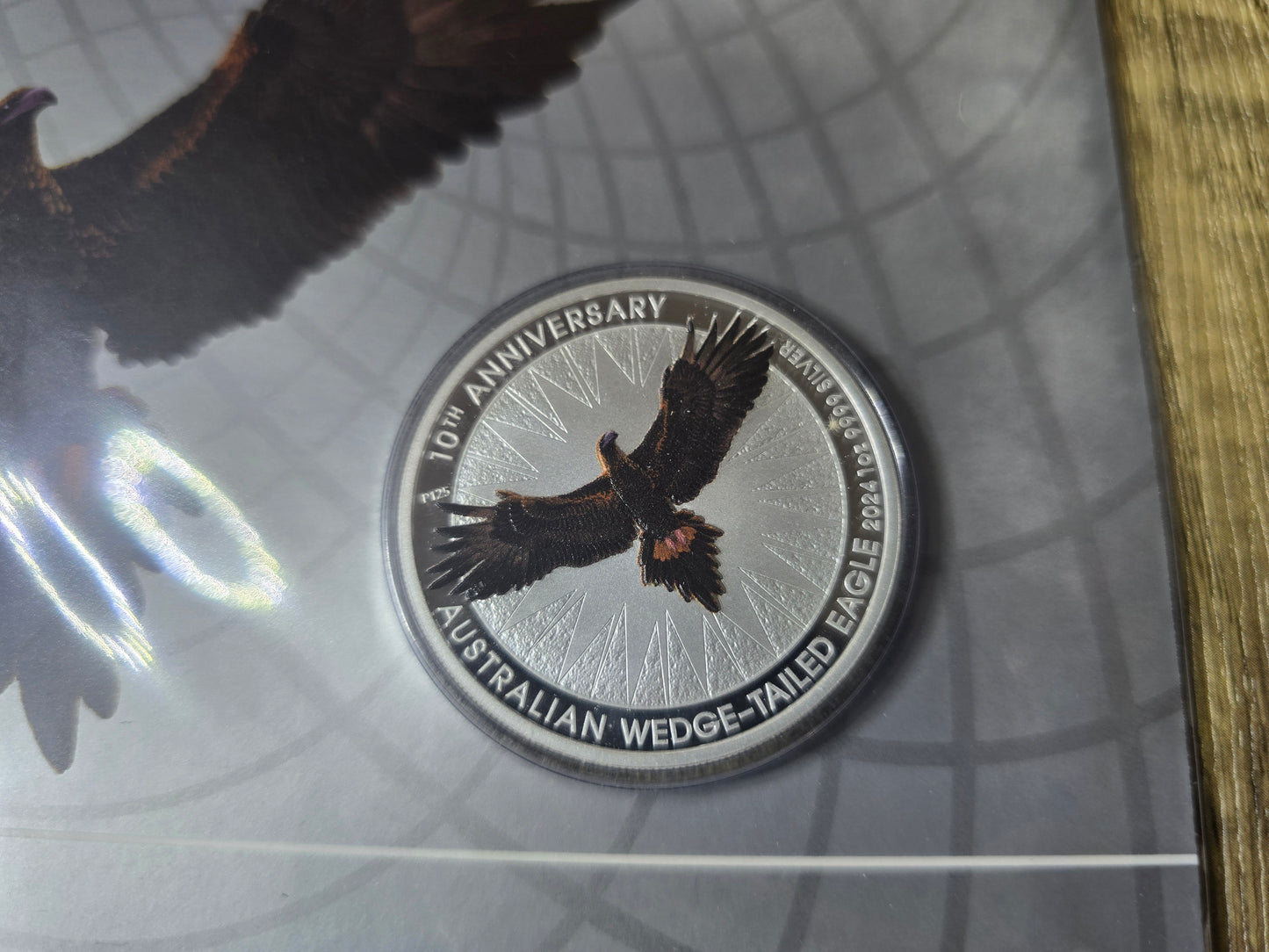 Wedge Tailed Eagle Coloured 1oz 2024