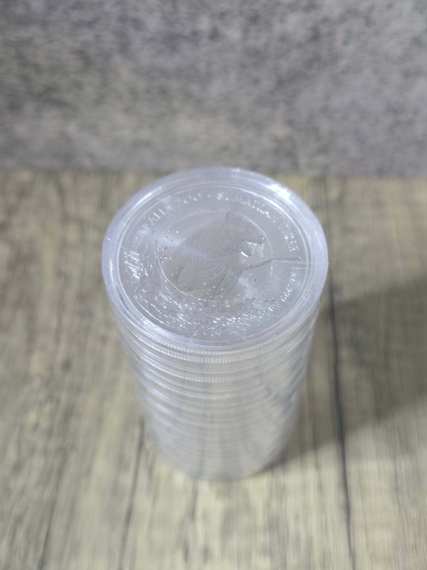 Sumartran Tiger - Australia Zoo 2020 1oz