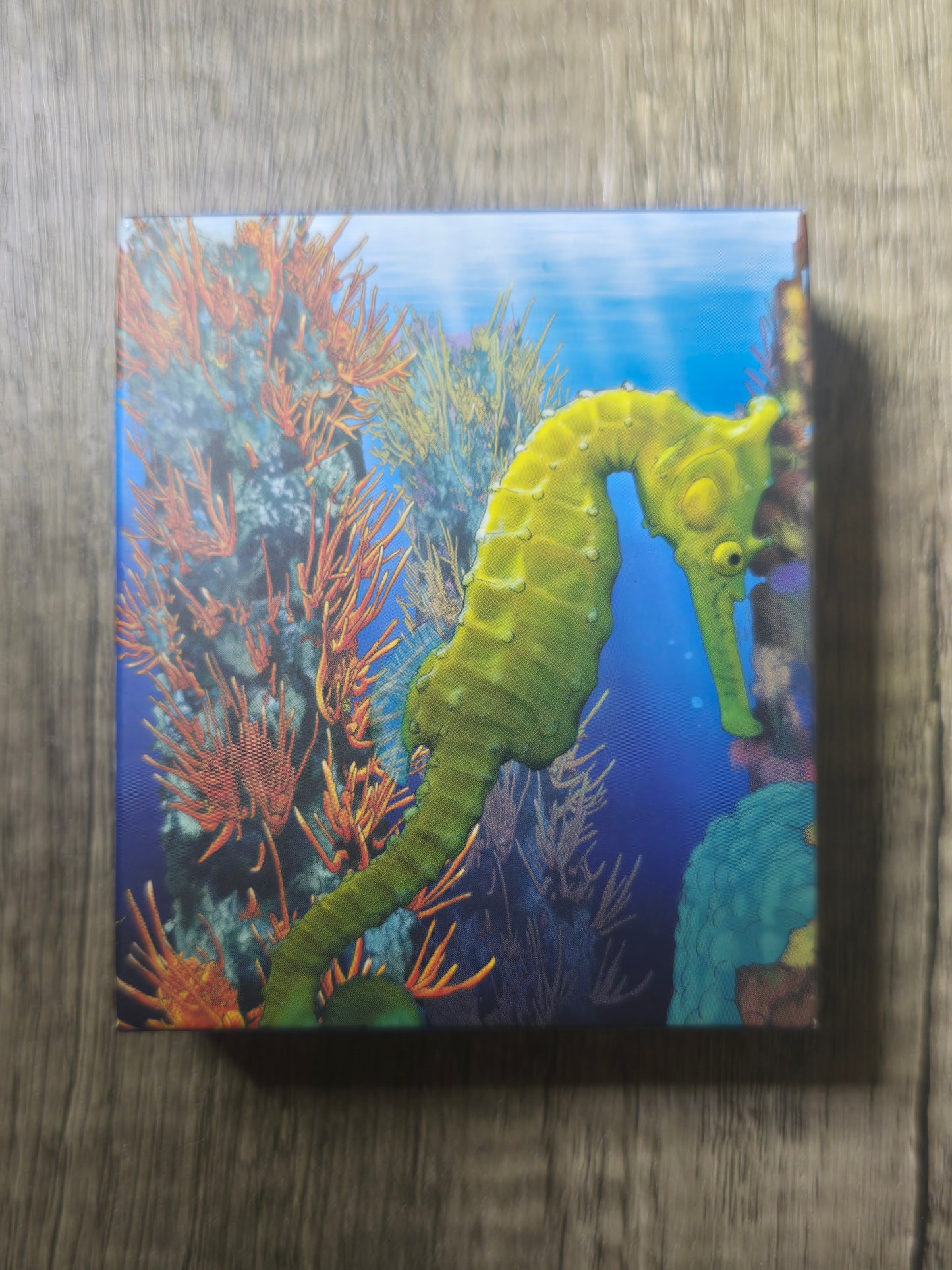 The Reef SeaHorse ½oz