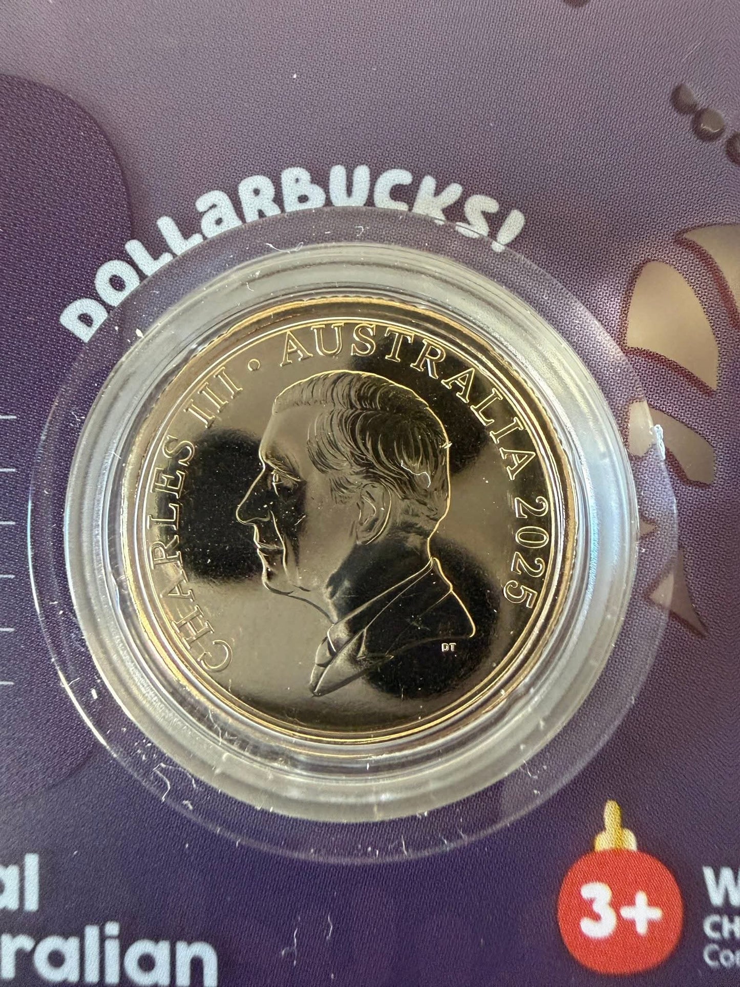 Bluey Christmas AlBr $1