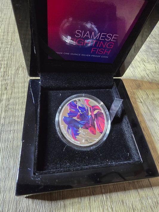 Siamese Fighting Fish coloured proof 1oz 2024