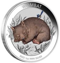 Wombat Coloured 1oz 2023 Perth Mint Card