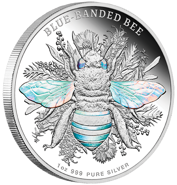Blue Banded Bee 1oz Coloured Hologram