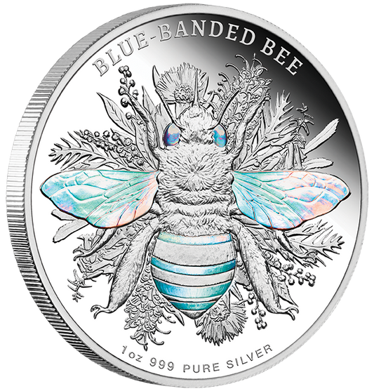 Blue Banded Bee 1oz Coloured Hologram