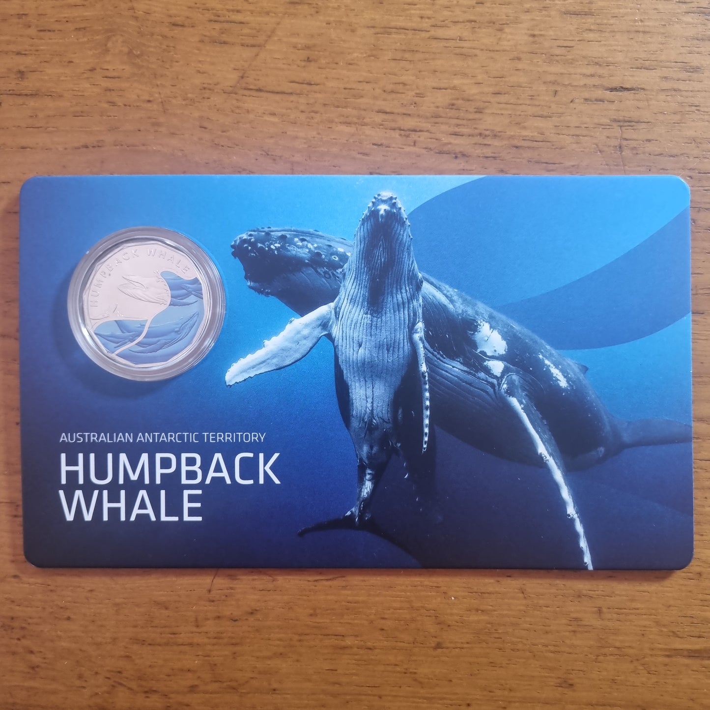 Humpback Whale Coloured AAT 50c 2023