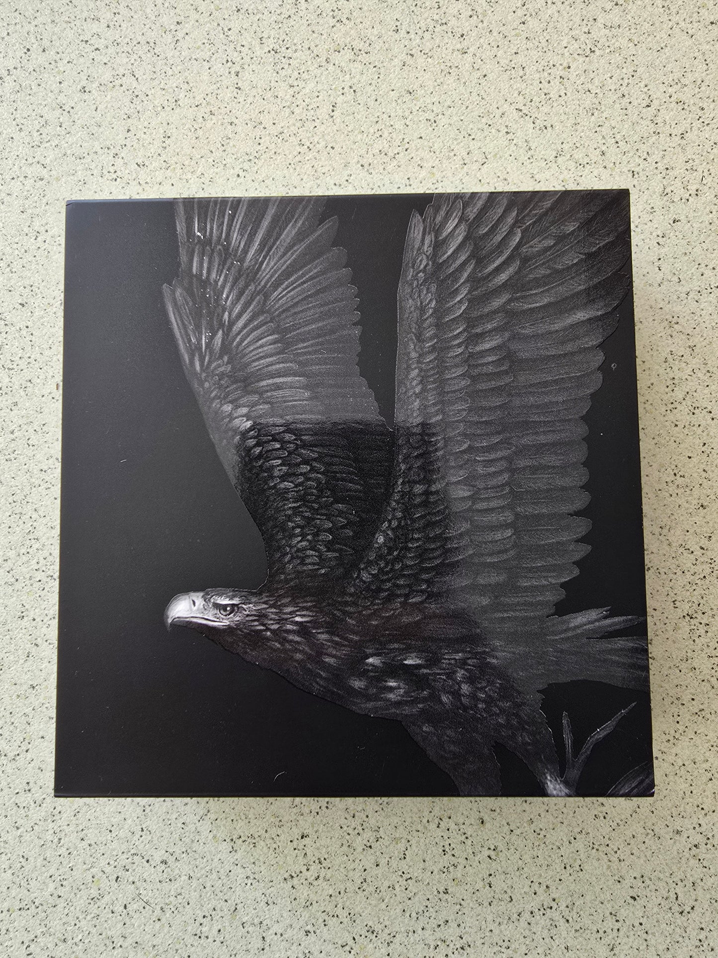 AGSE Apex Predators 1oz Series (set of 5)