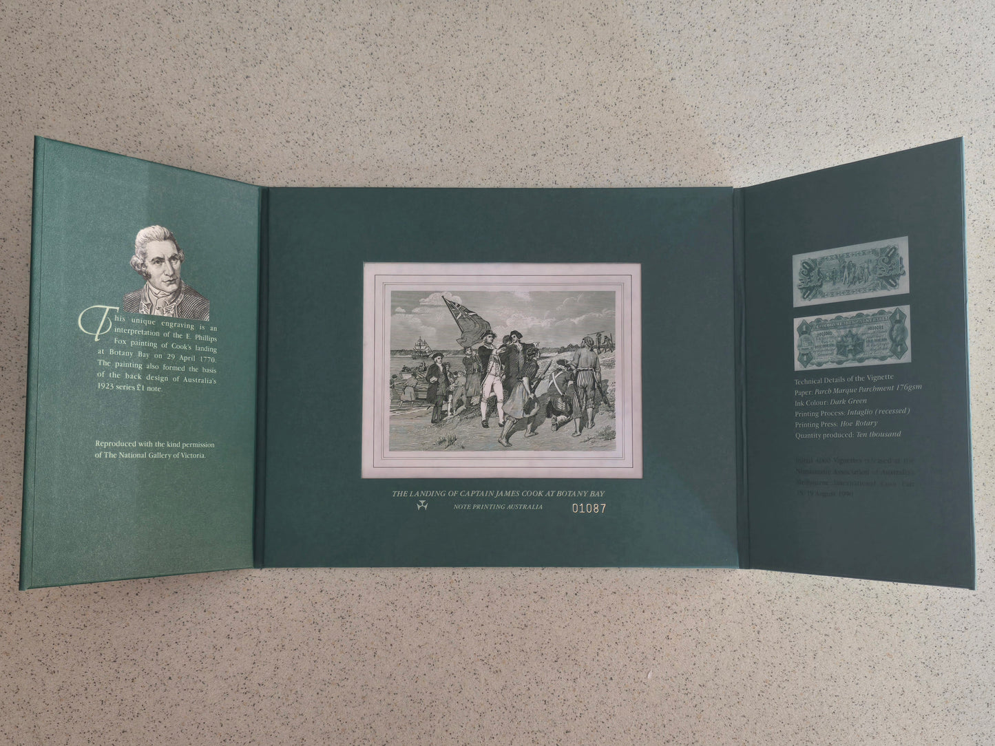 £1 One Pound Banknote Vignette