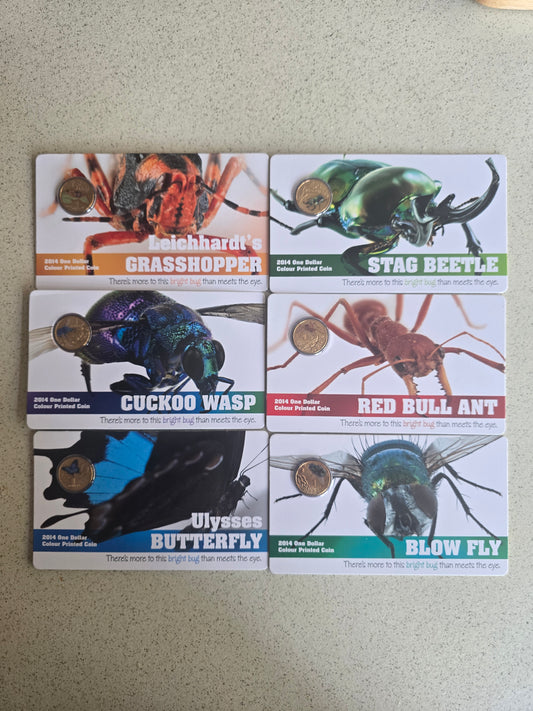 $1 2014 Bright Bugs (Set of 6)