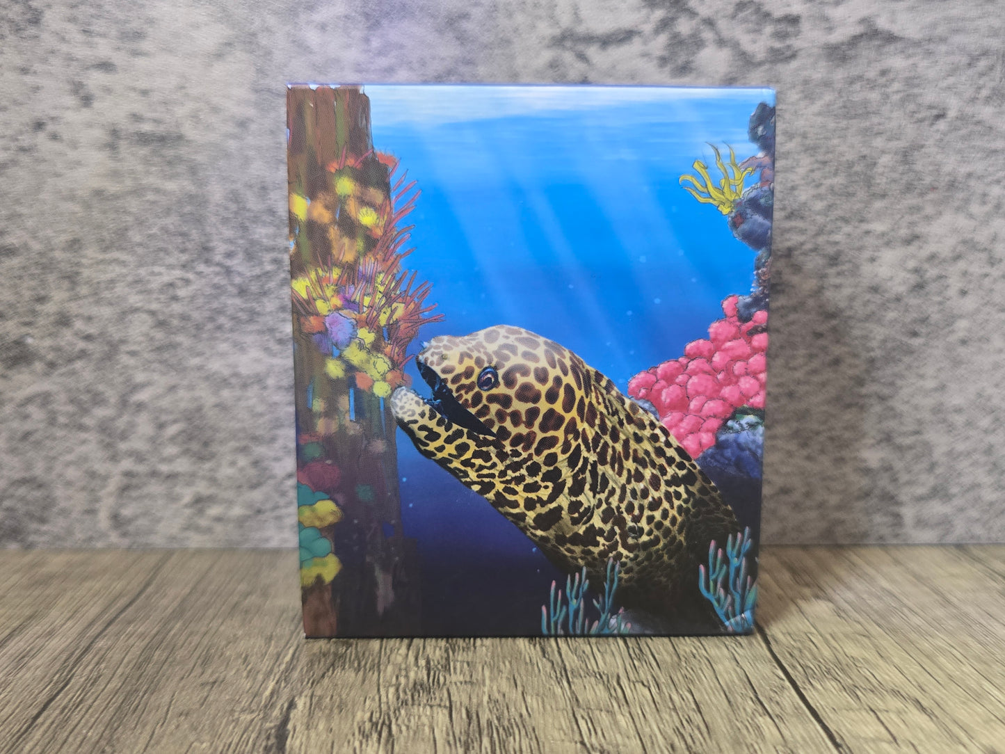 The Reef Moray Eel ½oz