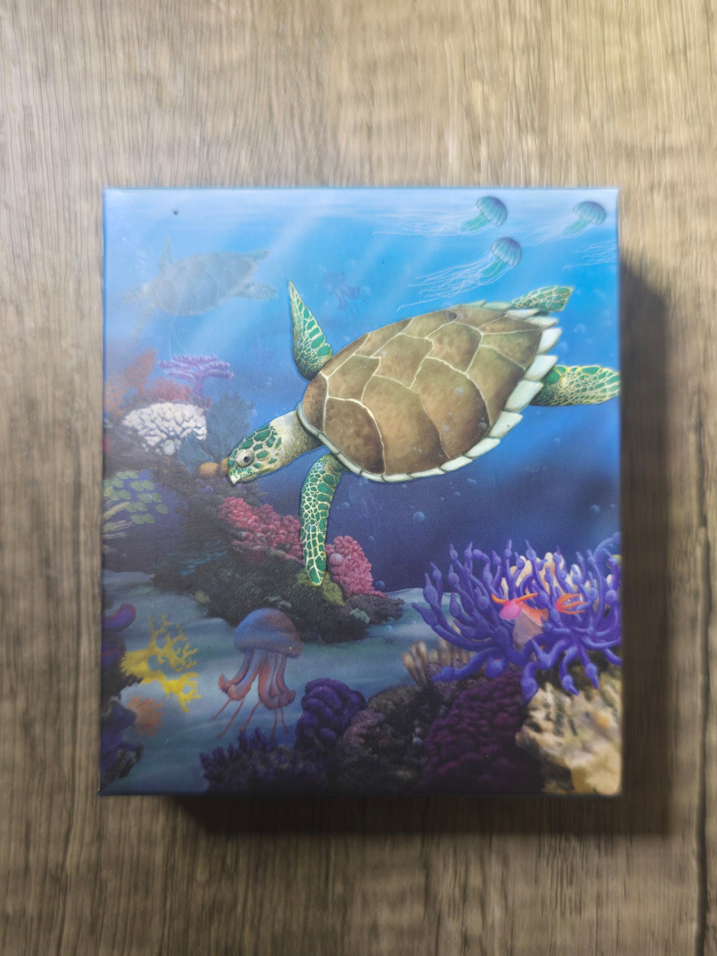 The Reef Turtle ½oz