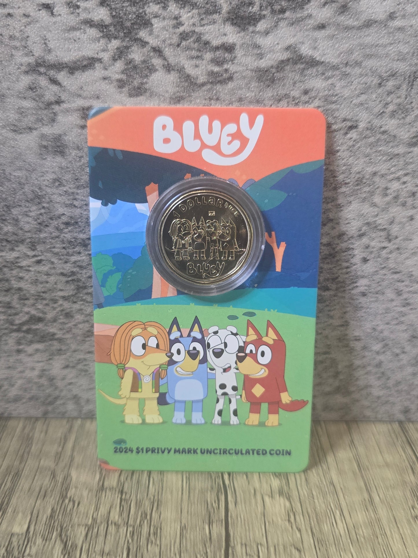 Bluey and Friends Privy $1 2024