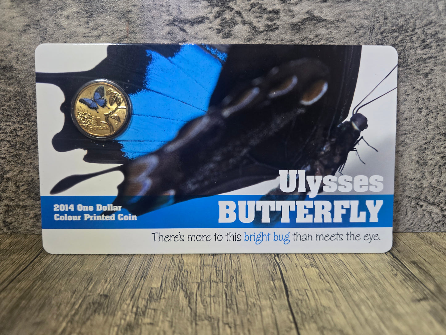 Ulysses Butterfly Coloured Bright Bugs $1 2014