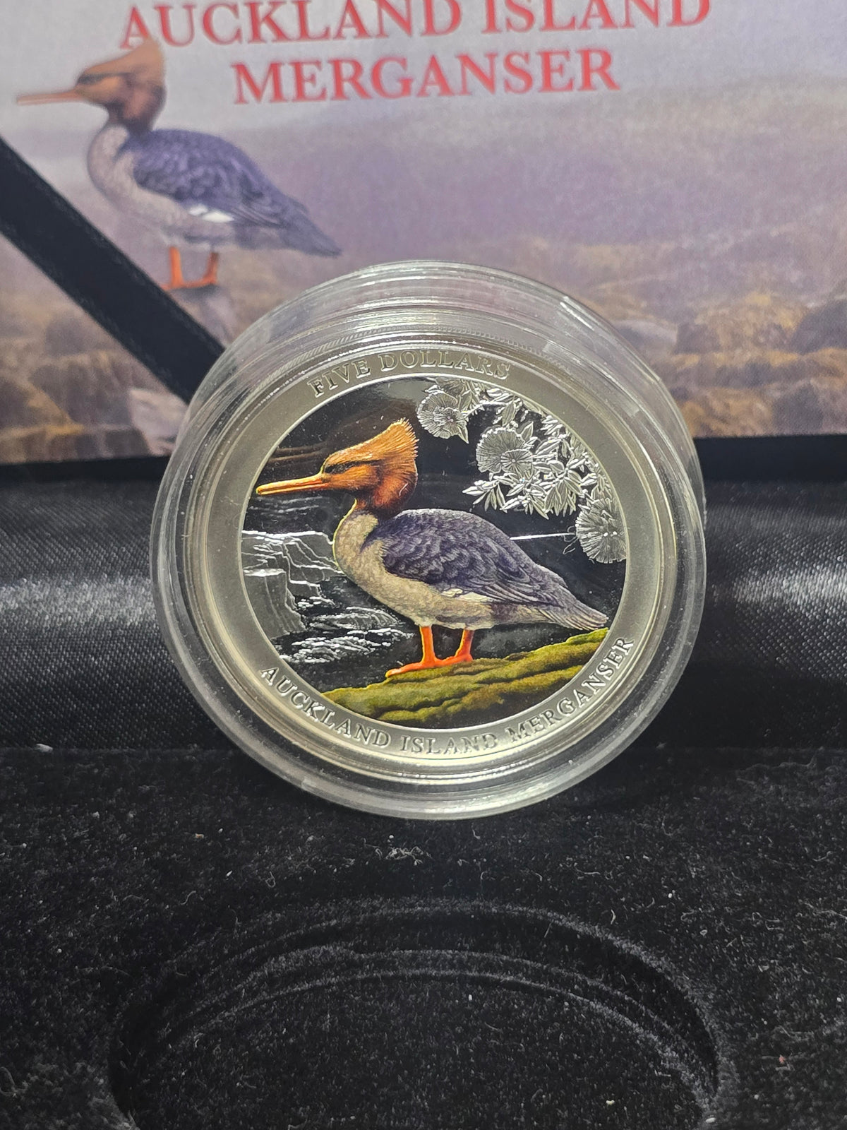Auckland Island Merganser 2oz coloured proof, 2021