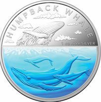Humpback Whale Coloured 1oz Proof $5 2023