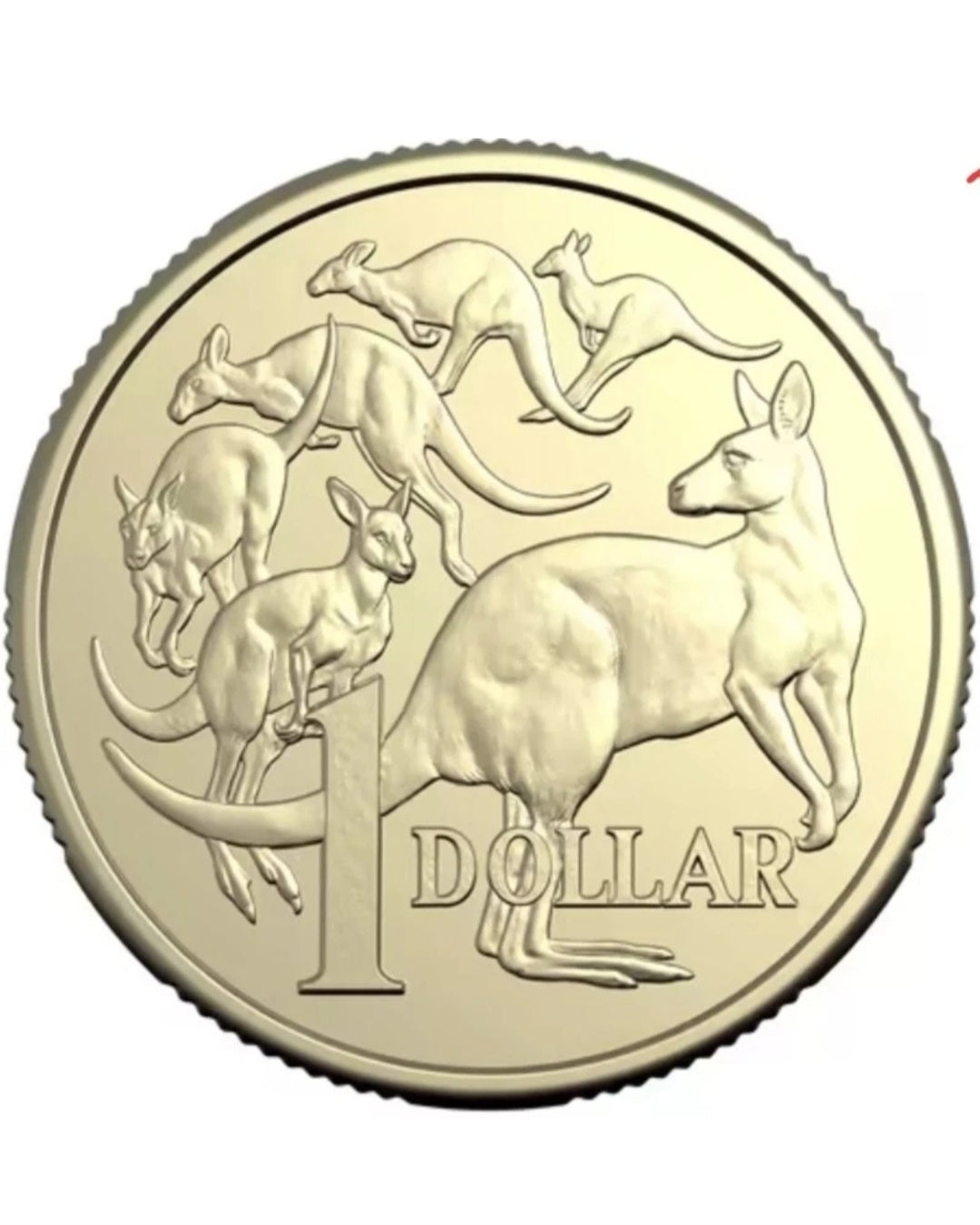 2026 $1 Mob of Six Roos, RAM Roll Non-Premium (T/T, H/H)