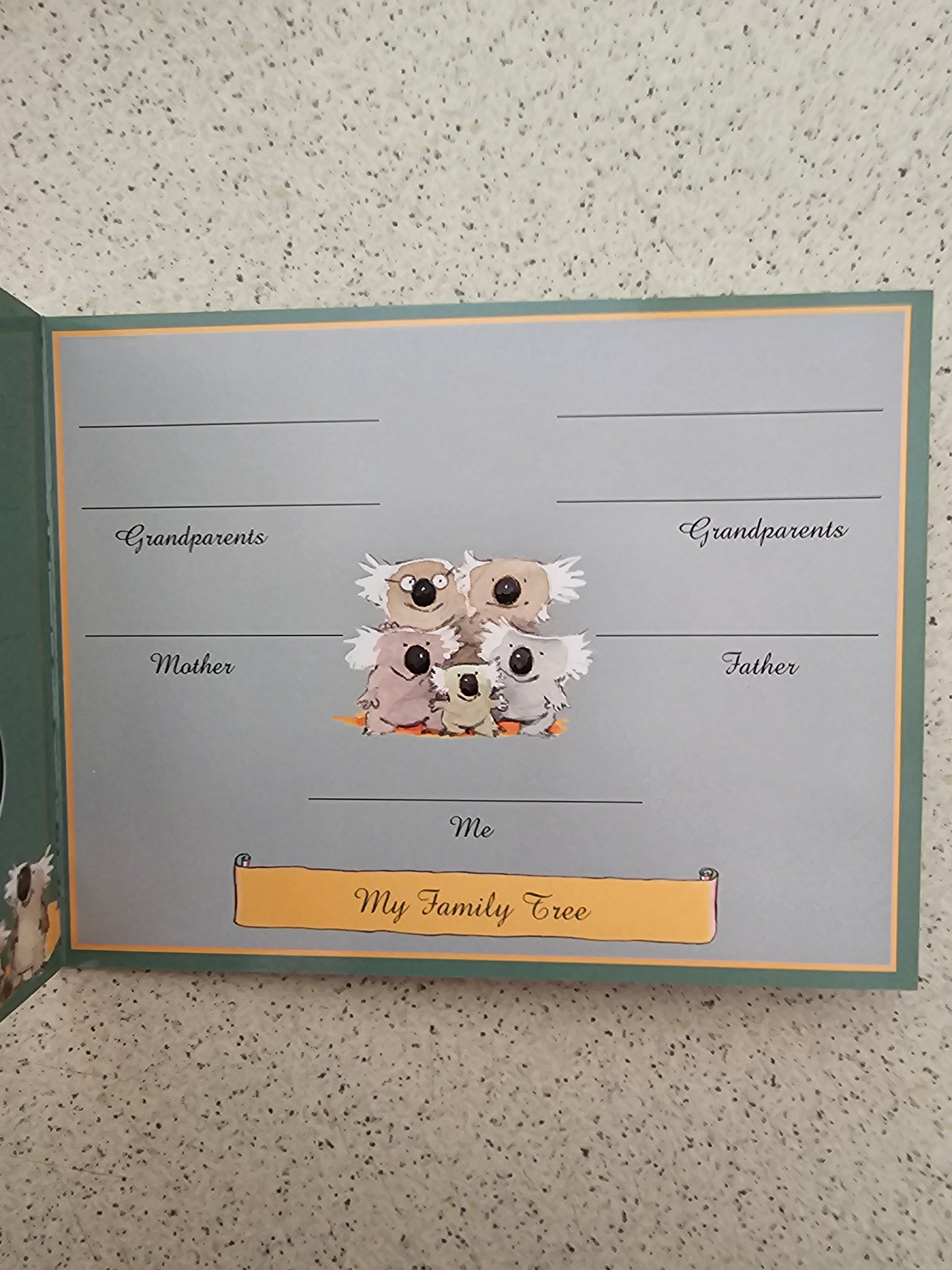 2004 Baby UNC Coin Set