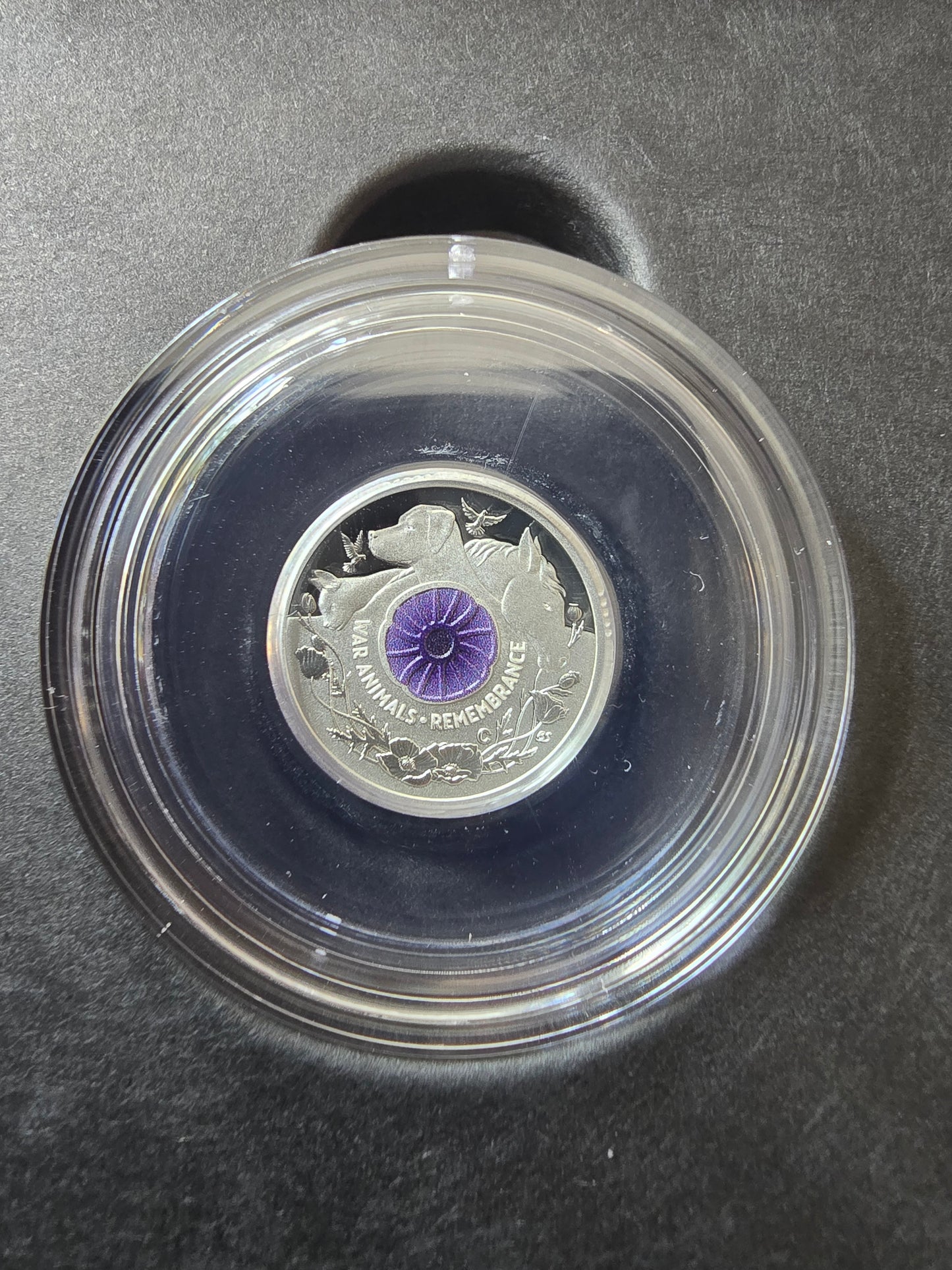 War Animals Remembrance Silver C-Mint $2 2024
